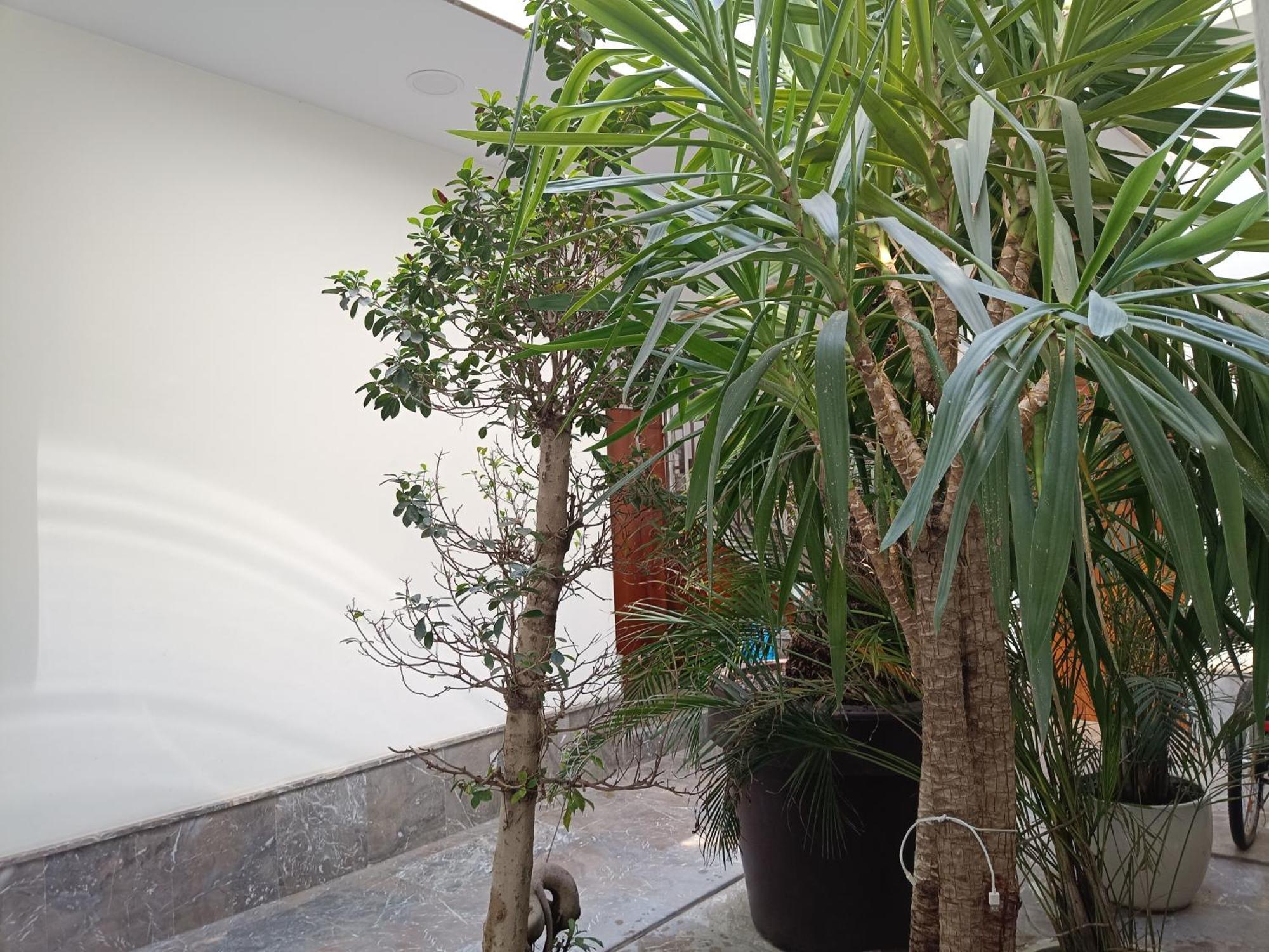 Apartamentos Luxury Puente De Triana, Seville